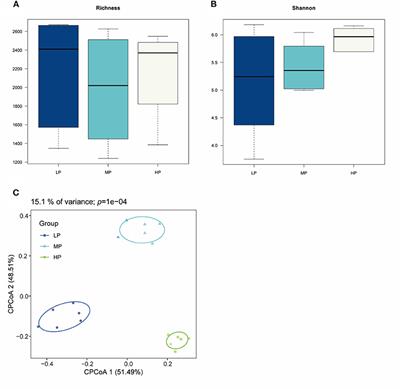 The Response of Ruminal Microbiota and Metabolites to Different Dietary Protein Levels in Tibetan Sheep on the Qinghai-Tibetan Plateau